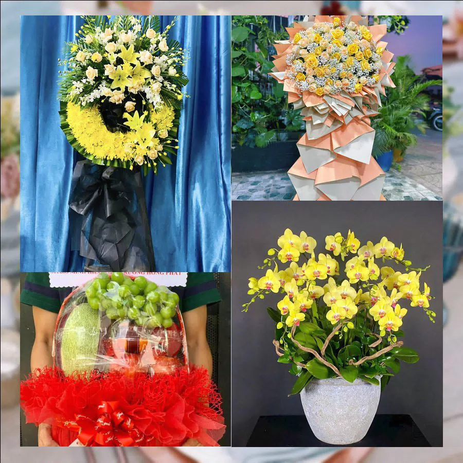 Shop Hoa Tươi Phường Lý Văn Lâm - Tỉnh Cà Mau