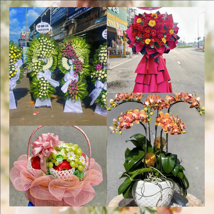Shop Hoa Tươi Phường Đông Hải - Thành phố Hải Phòng
