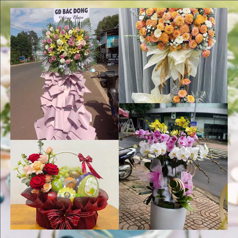 Shop Hoa Tươi Xã Nga Sơn - Tỉnh Thanh Hóa