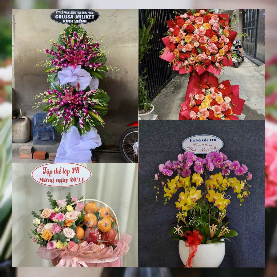 Shop Hoa Tươi Xã Thái Thụy - Tỉnh Hưng Yên