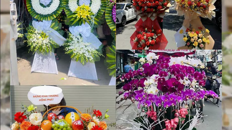 Shop Hoa Tươi Phường An Nhơn - Tỉnh Gia Lai
