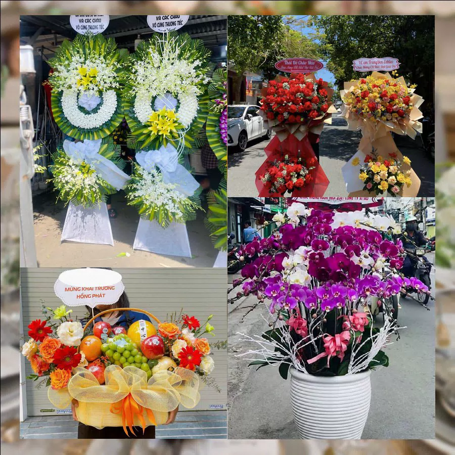 Shop Hoa Tươi Phường An Nhơn - Tỉnh Gia Lai