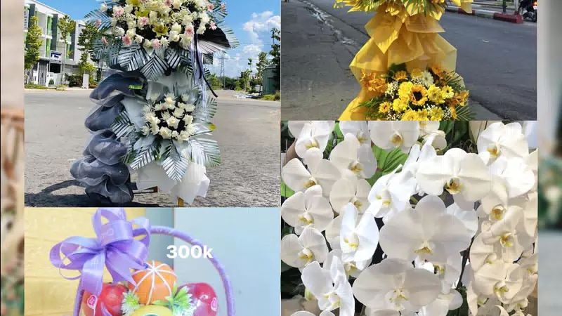 Shop Hoa Tươi Xã Khánh Bình - Tỉnh An Giang