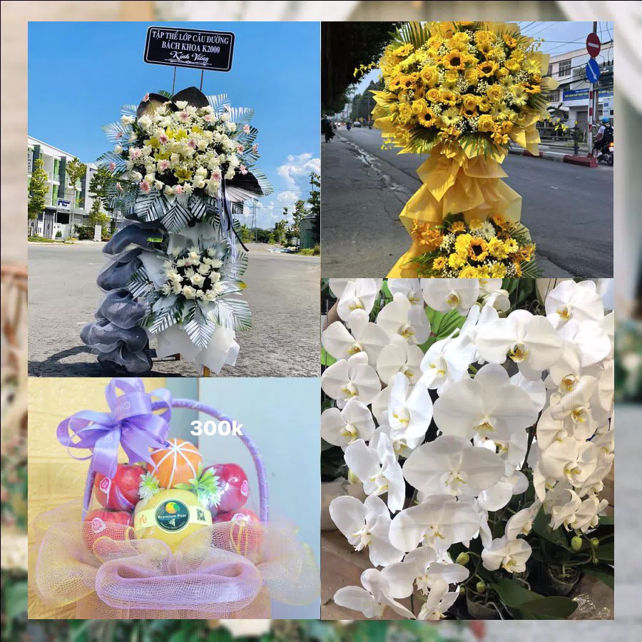 Shop Hoa Tươi Xã Khánh Bình - Tỉnh An Giang