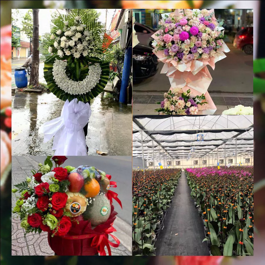 Shop Hoa Tươi Xã Hải Hậu - Tỉnh Ninh Bình