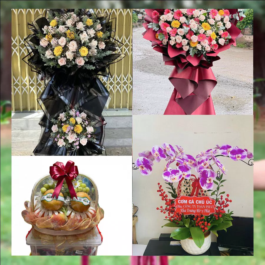 Mẫu hoa lan hồ điệp tươi tại shop hoa tươi Xã Hải Hậu