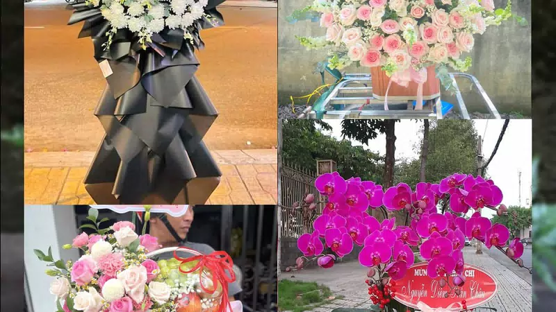 Shop Hoa Tươi Xã Xuân Lãng - Tỉnh Phú Thọ
