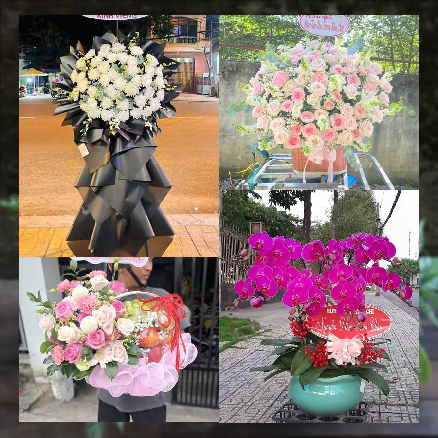 Shop Hoa Tươi Xã Xuân Lãng - Tỉnh Phú Thọ