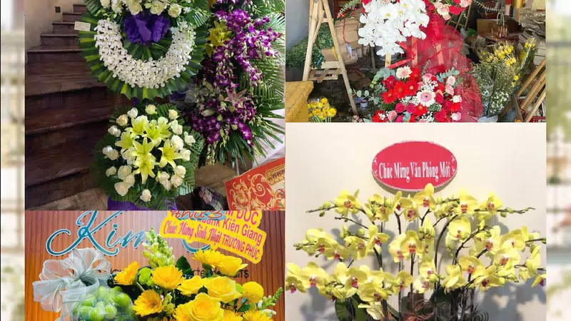 Shop Hoa Tươi Phường Đồ Sơn - Thành phố Hải Phòng