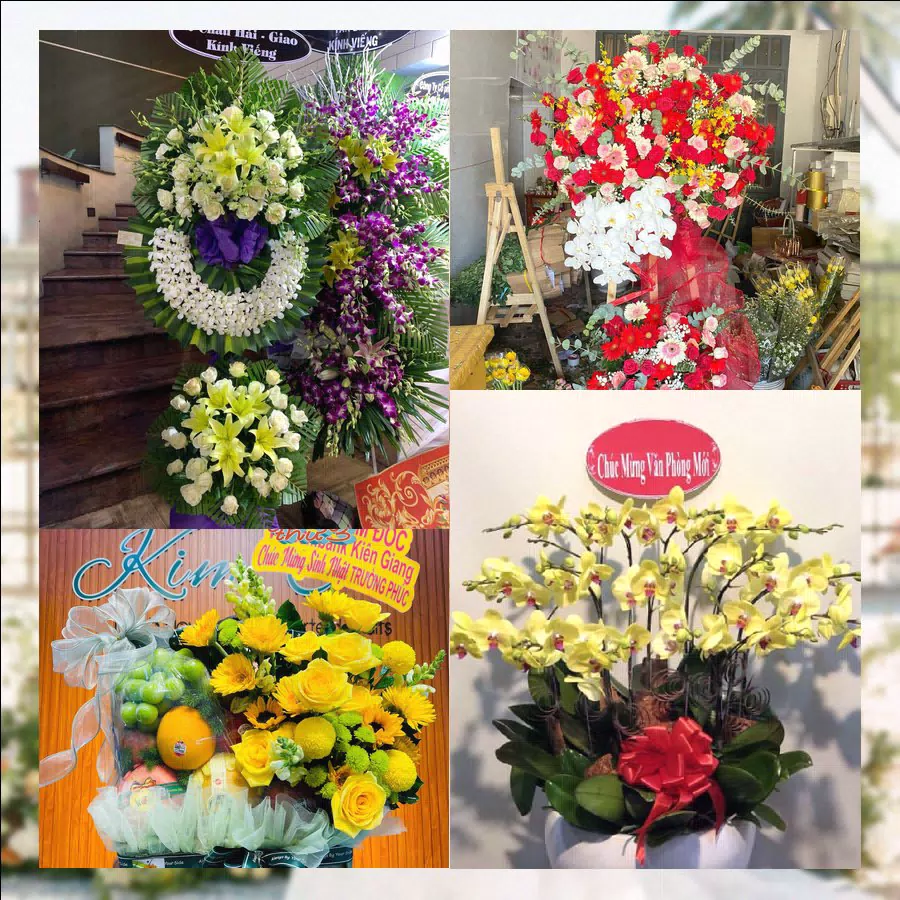Shop Hoa Tươi Phường Đồ Sơn - Thành phố Hải Phòng