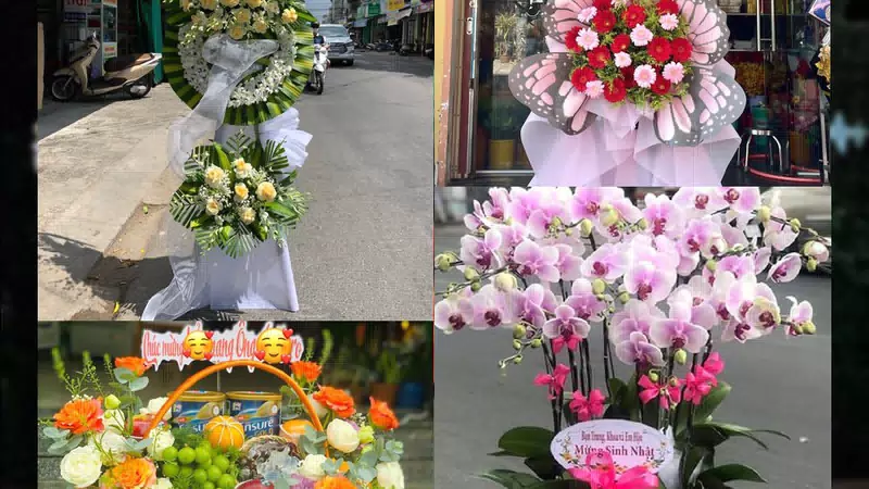 Shop Hoa Tươi Xã Đô Lương - Tỉnh Nghệ An