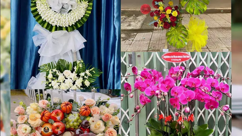 Shop Hoa Tươi Phường Đông Hà - Tỉnh Quảng Trị
