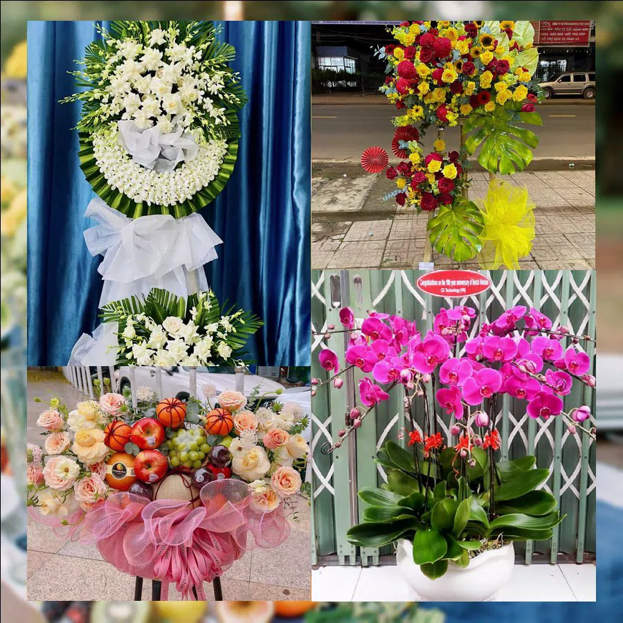 Shop Hoa Tươi Phường Đông Hà - Tỉnh Quảng Trị