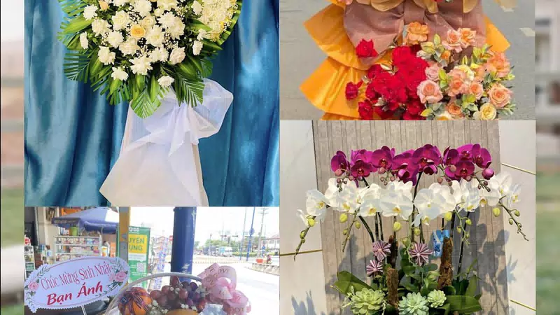 Shop Hoa Tươi Xã Phan Rí Cửa - Tỉnh Lâm Đồng