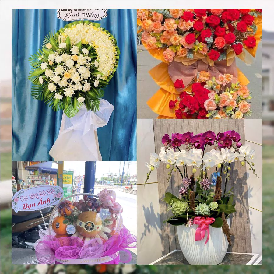 Shop Hoa Tươi Xã Phan Rí Cửa - Tỉnh Lâm Đồng