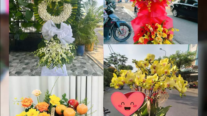 Shop Hoa Tươi Xã Phúc Sơn - Thành phố Hà Nội