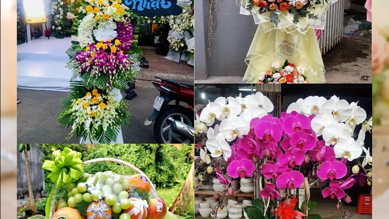 Shop Hoa Tươi Phường Chánh Phú Hòa - Thành phố Hồ Chí Minh