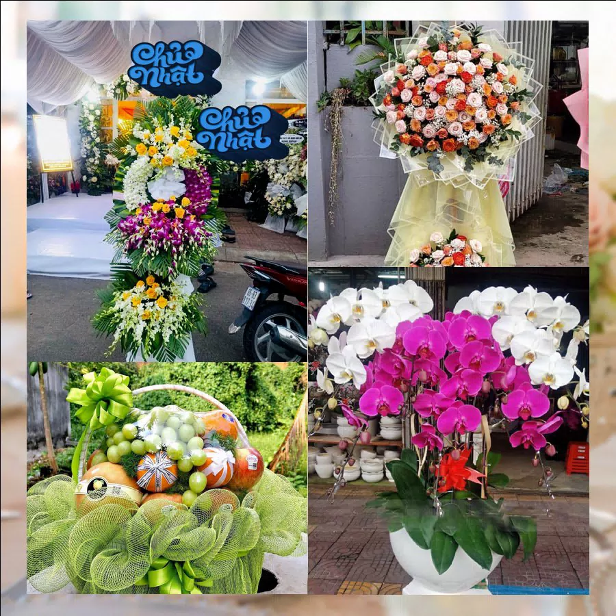 Shop Hoa Tươi Phường Chánh Phú Hòa - Thành phố Hồ Chí Minh