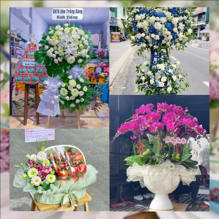 Shop Hoa Tươi Xã Hải Tiến - Tỉnh Ninh Bình