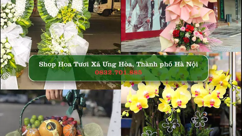 Shop Hoa Tươi Xã Ứng Hòa - Thành phố Hà Nội
