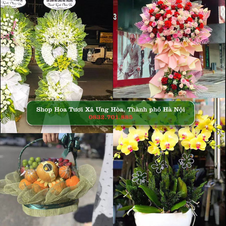 Shop Hoa Tươi Xã Ứng Hòa - Thành phố Hà Nội