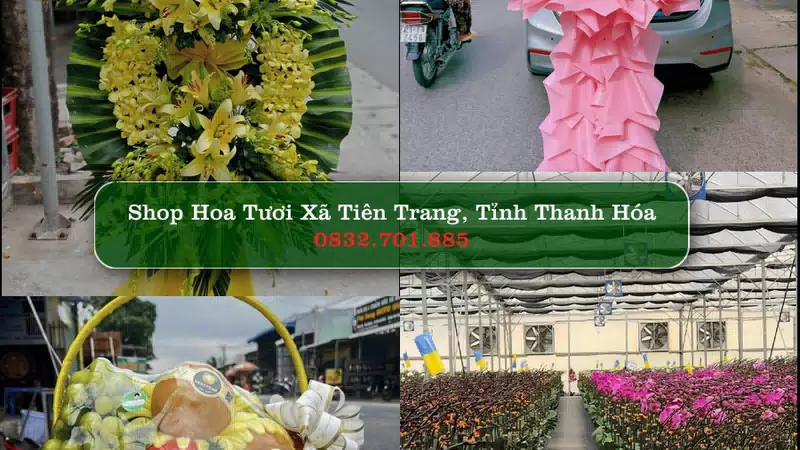 Shop Hoa Tươi Xã Tiên Trang - Tỉnh Thanh Hóa