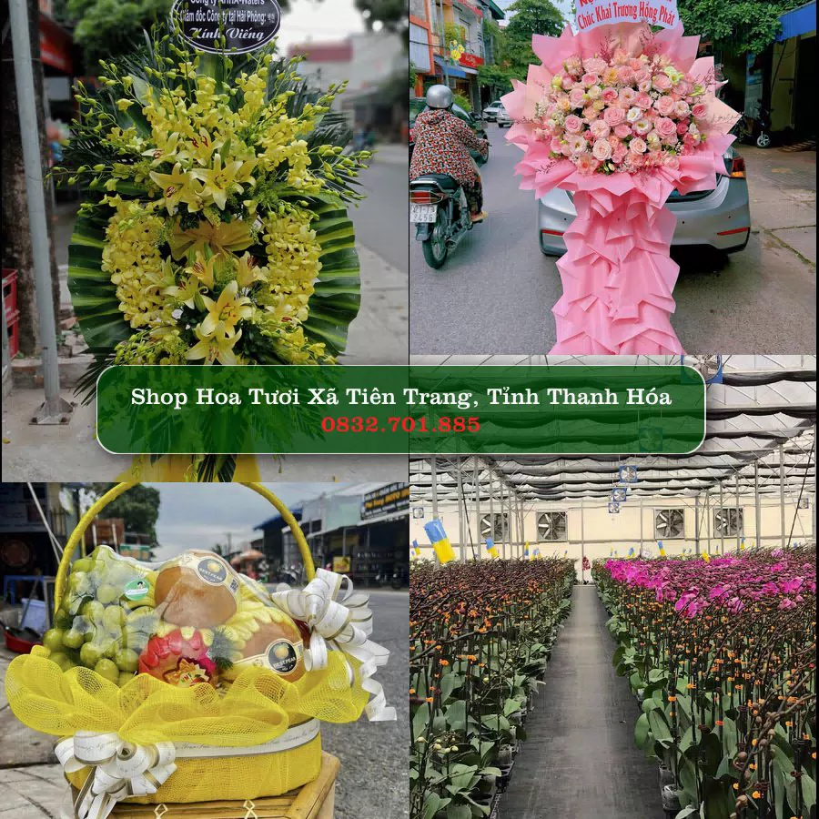 Shop Hoa Tươi Xã Tiên Trang - Tỉnh Thanh Hóa