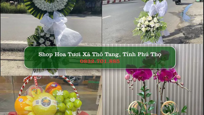 Shop Hoa Tươi Xã Thổ Tang - Tỉnh Phú Thọ