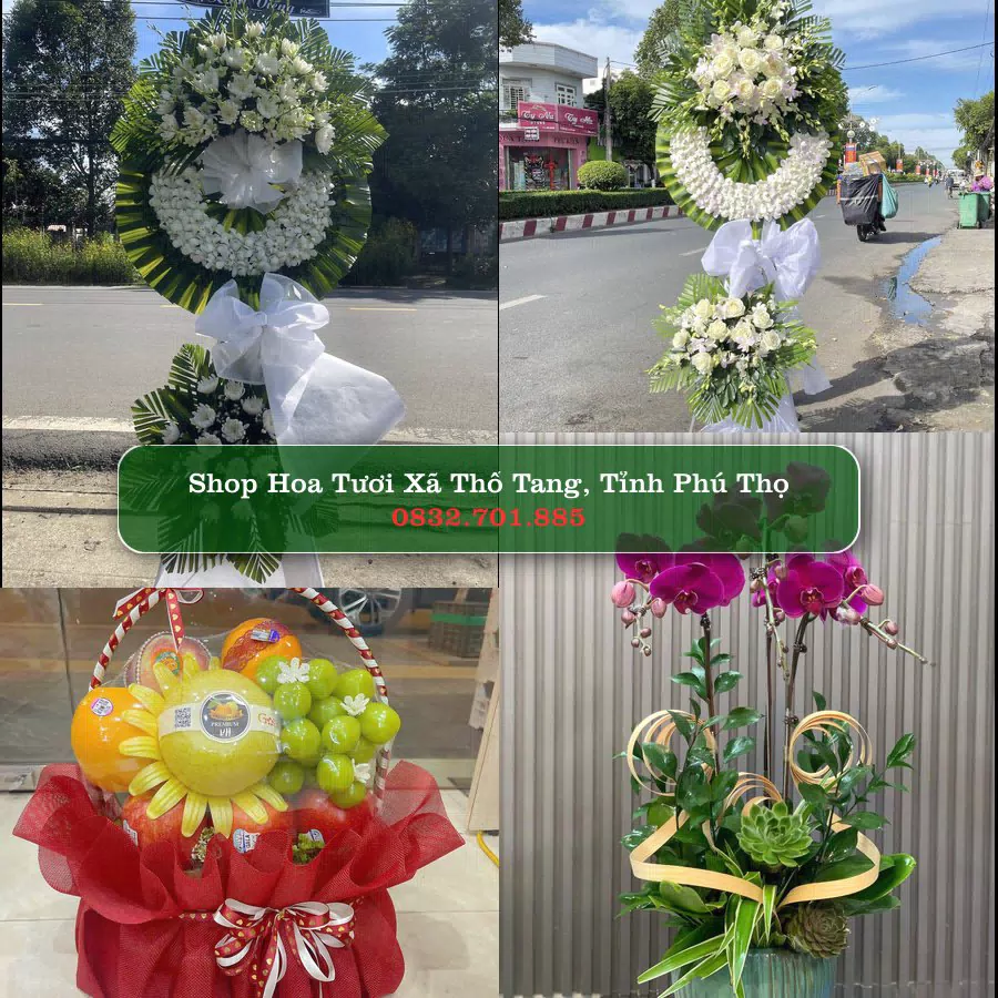 Shop Hoa Tươi Xã Thổ Tang - Tỉnh Phú Thọ