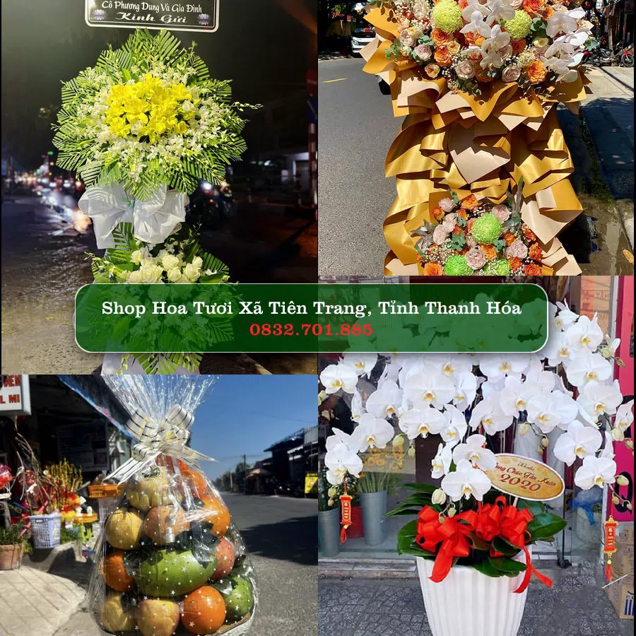 Shop hoa tươi Xã Tiên Trang, Tỉnh Thanh Hóa - ThuyHoaTuoi.Com giao hoa tận nơi