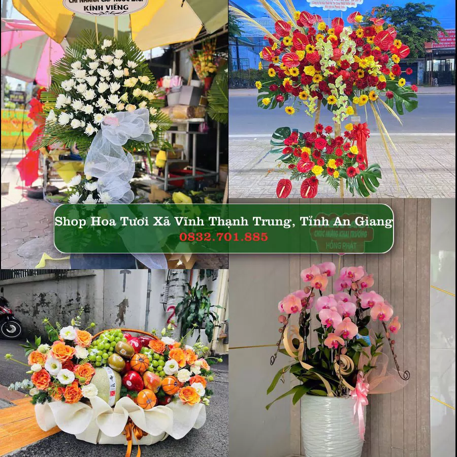 Shop hoa tươi Xã Vĩnh Thạnh Trung, Tỉnh An Giang - ThuyHoaTuoi.Com giao hoa tận nơi