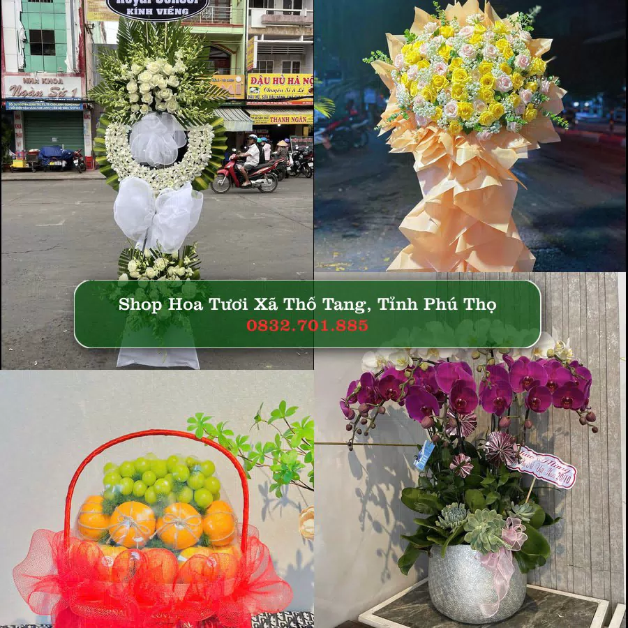 Shop hoa tươi Xã Thổ Tang, Tỉnh Phú Thọ - ThuyHoaTuoi.Com giao hoa tận nơi