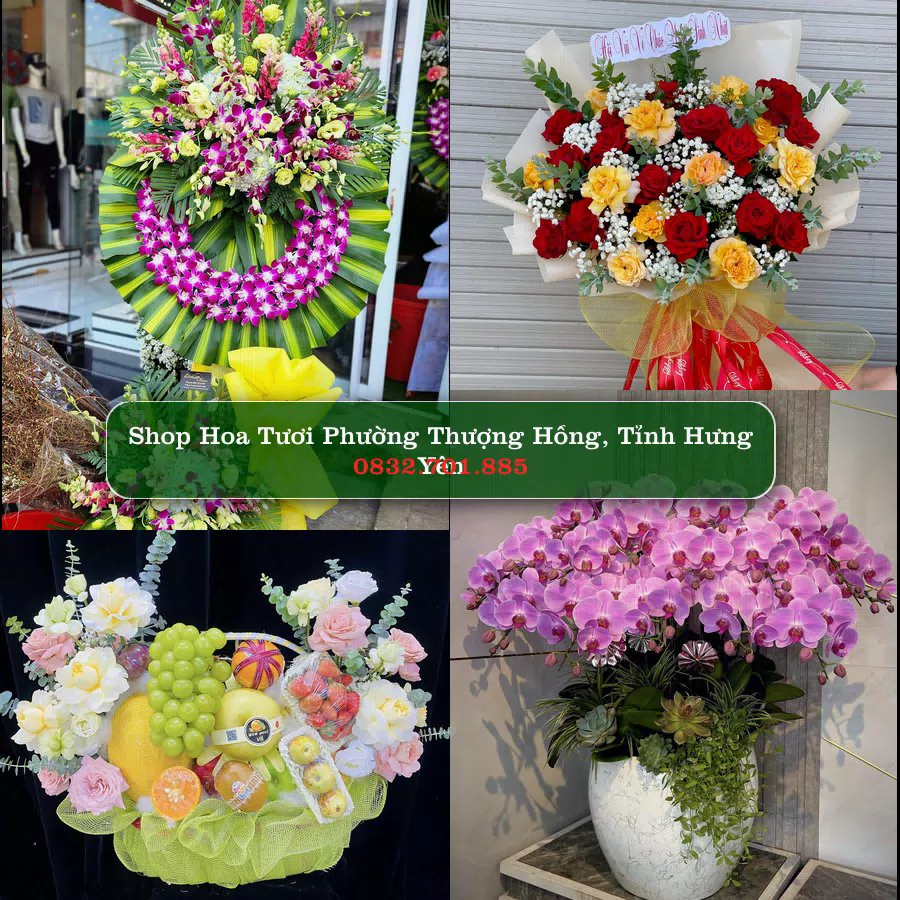 Shop hoa tươi Phường Thượng Hồng, Tỉnh Hưng Yên - ThuyHoaTuoi.Com giao hoa tận nơi