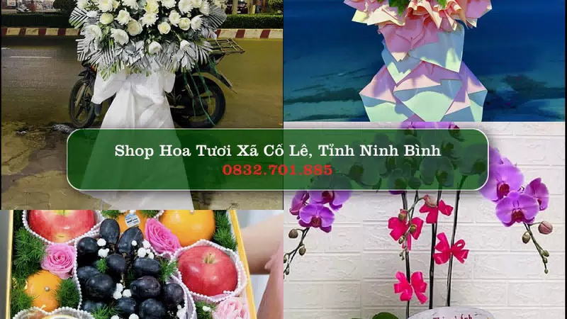Shop Hoa Tươi Xã Cổ Lễ - Tỉnh Ninh Bình