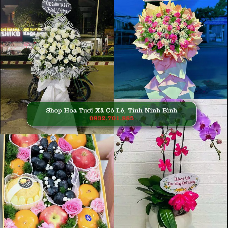 Shop Hoa Tươi Xã Cổ Lễ - Tỉnh Ninh Bình
