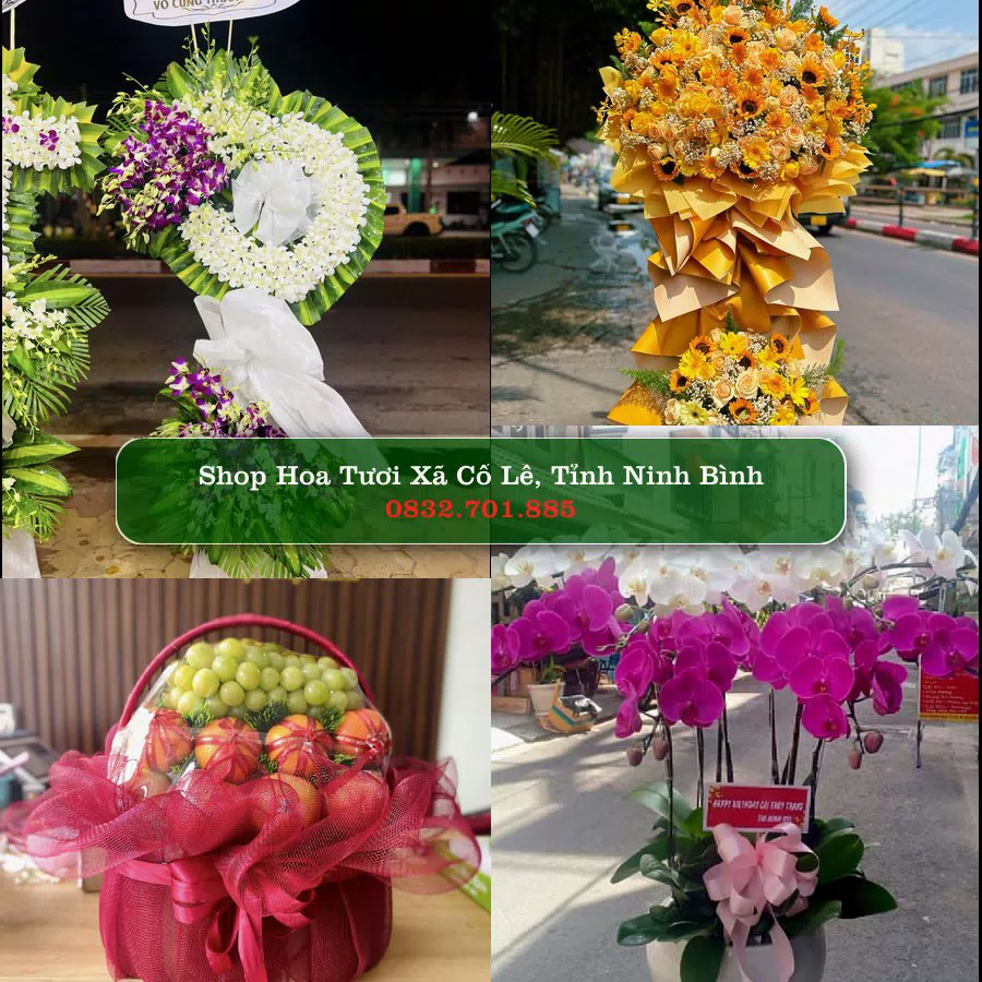 Shop hoa tươi Xã Cổ Lễ, Tỉnh Ninh Bình - ThuyHoaTuoi.Com giao hoa tận nơi