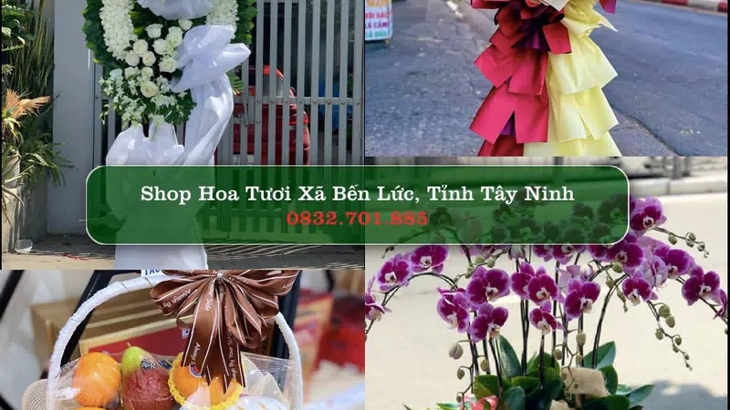 Shop Hoa Tươi Xã Bến Lức - Tỉnh Tây Ninh