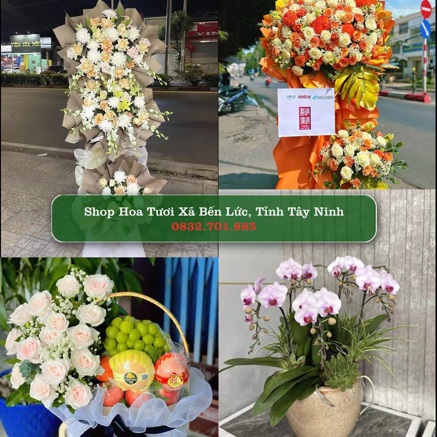 Shop hoa tươi Xã Bến Lức, Tỉnh Tây Ninh - ThuyHoaTuoi.Com giao hoa tận nơi