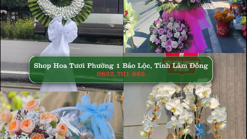 Shop Hoa Tươi Phường 1 Bảo Lộc - Tỉnh Lâm Đồng