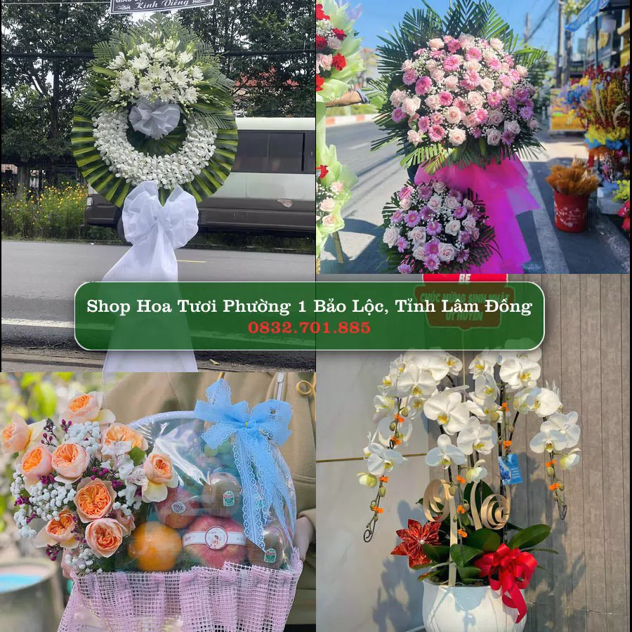 Shop Hoa Tươi Phường 1 Bảo Lộc - Tỉnh Lâm Đồng