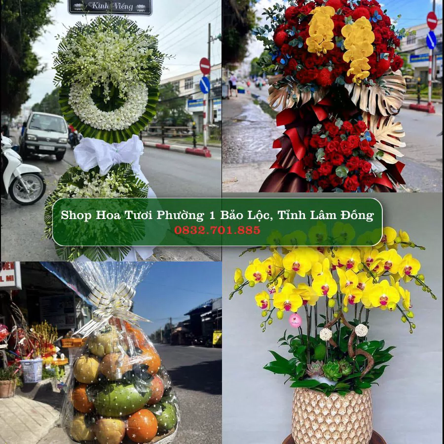 Shop hoa tươi Phường 1 Bảo Lộc, Tỉnh Lâm Đồng - ThuyHoaTuoi.Com giao hoa tận nơi