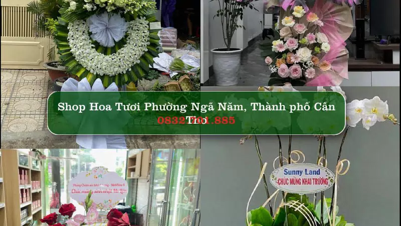 Shop Hoa Tươi Phường Ngã Năm - Thành phố Cần Thơ