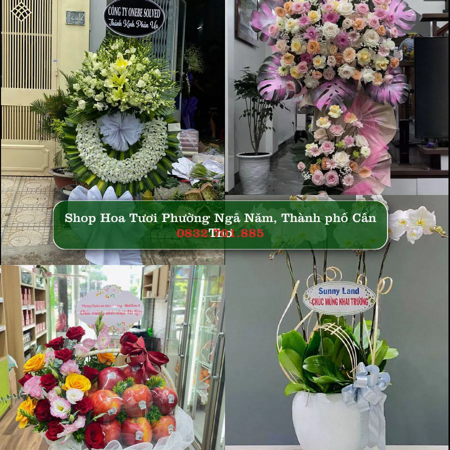 Shop Hoa Tươi Phường Ngã Năm - Thành phố Cần Thơ