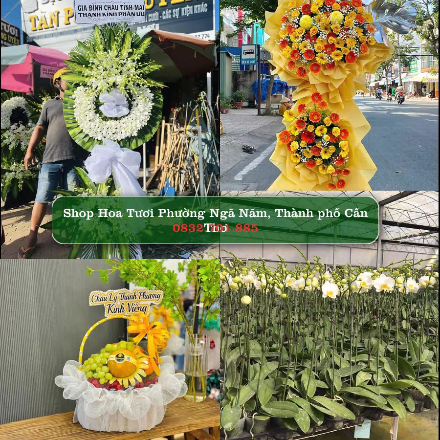 Shop hoa tươi Phường Ngã Năm, Thành phố Cần Thơ - ThuyHoaTuoi.Com giao hoa tận nơi