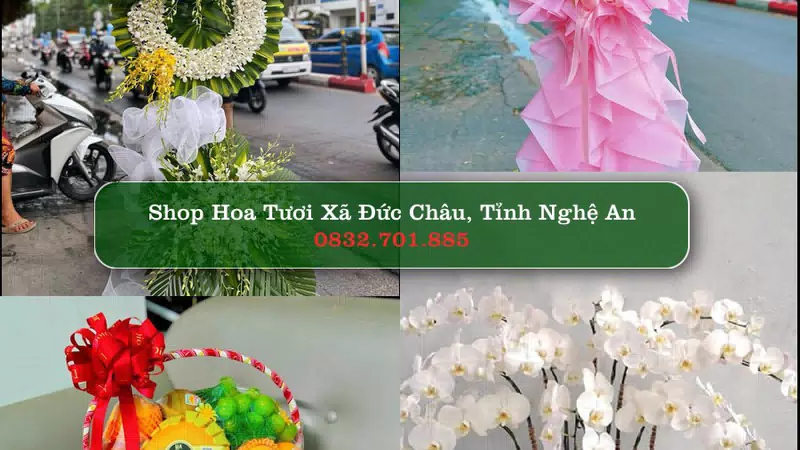 Shop Hoa Tươi Xã Đức Châu - Tỉnh Nghệ An