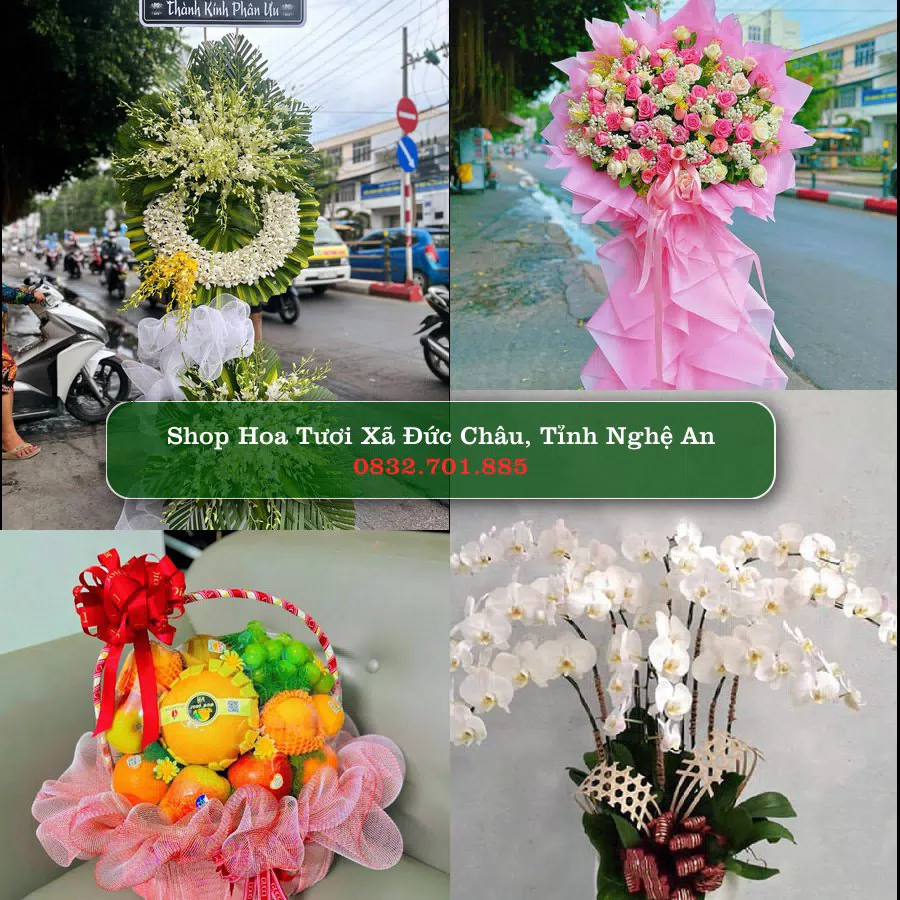 Shop Hoa Tươi Xã Đức Châu - Tỉnh Nghệ An