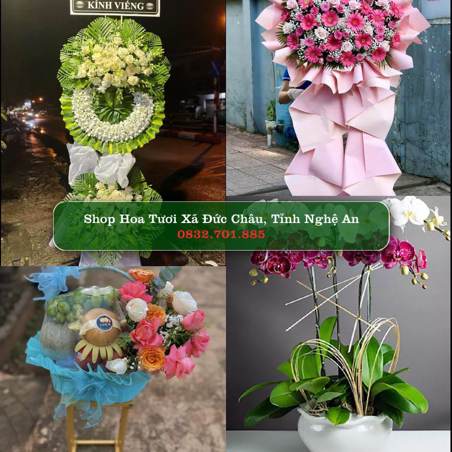 Shop hoa tươi Xã Đức Châu, Tỉnh Nghệ An - ThuyHoaTuoi.Com giao hoa tận nơi