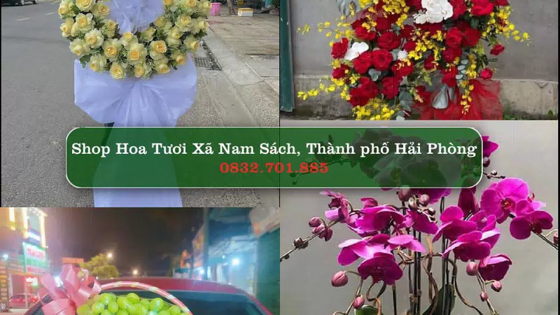 Shop Hoa Tươi Xã Nam Sách - Thành phố Hải Phòng