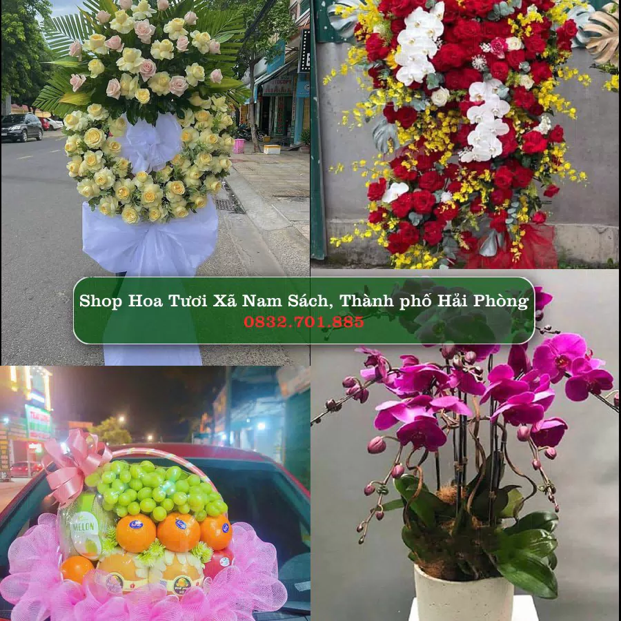 Shop Hoa Tươi Xã Nam Sách - Thành phố Hải Phòng