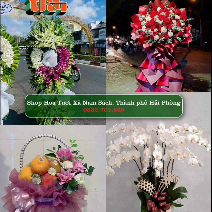 Shop hoa tươi Xã Nam Sách, Thành phố Hải Phòng - ThuyHoaTuoi.Com giao hoa tận nơi